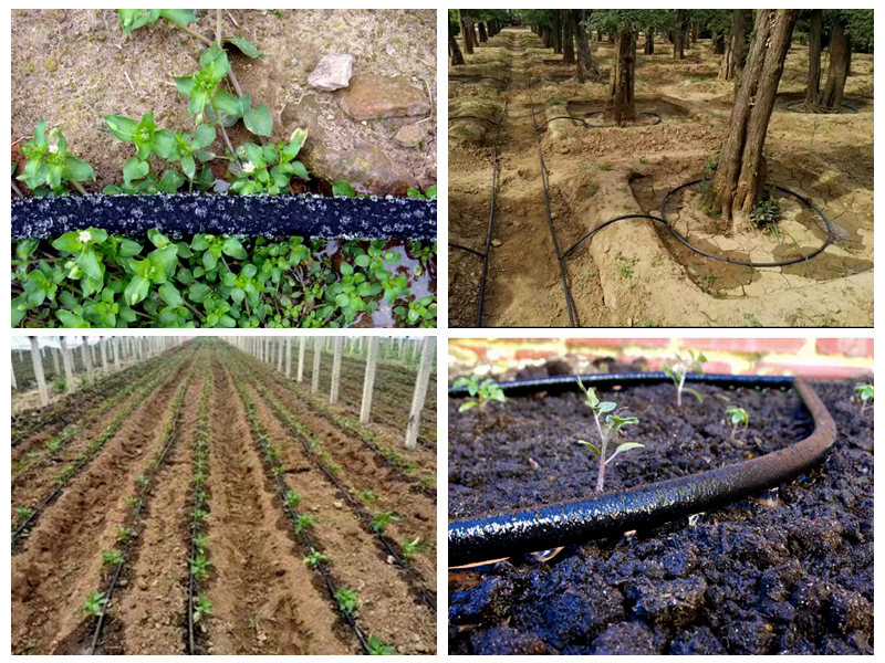 چگونه از شلنگ خیساندن لاستیکی برای آبیاری استفاده می شود؟